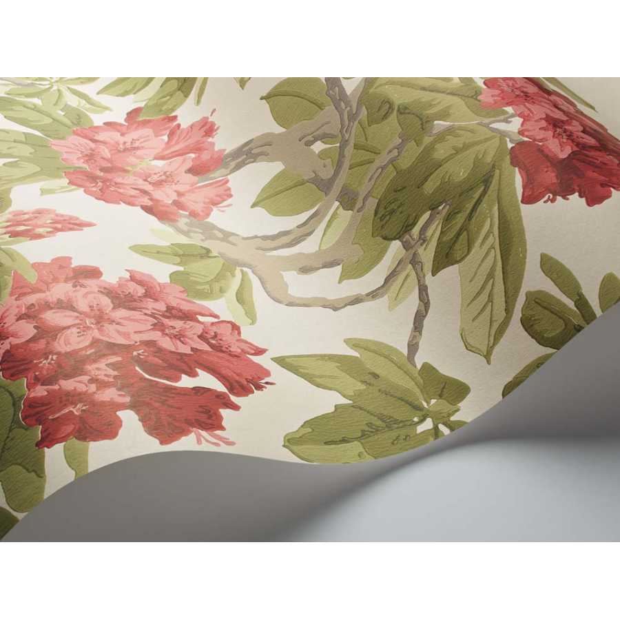 Cole and Son Folie Bourlie 99/4020 Wallpaper Naken Interiors